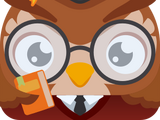 Wise Owl