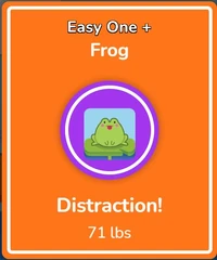 F Frog Distraction