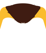 Wide Mohawk