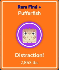 F Pufferfish Distraction