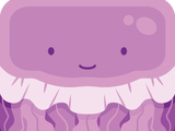 Jellyfish