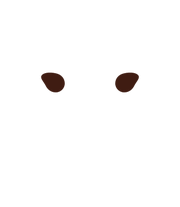 Pointy Edge Small Eyebrows