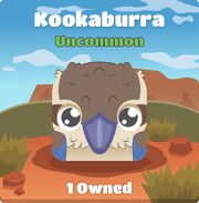 Kookaburra blook in background