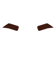 Viking's Thick eyebrows 