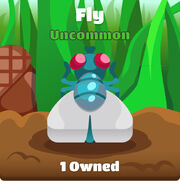 Fly Blook in background