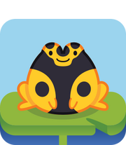 PoisonDartFrog