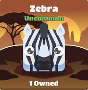 Zebra blook in background