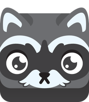 Raccoon