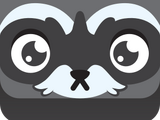 Raccoon