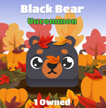 Black Bear with Background