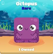 P Octopus