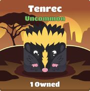 Tenrec blook in background