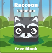 Raccoon blook in background