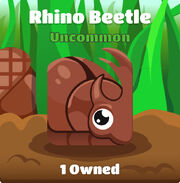 Rhino Beetle Blook in background