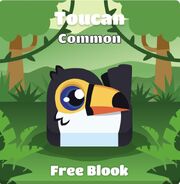 Toucan blook in background