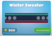 Winter Sweater Banner
