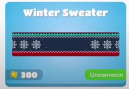 Winter Sweater