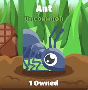 Ant Blook in background