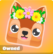 How Spring Deer looks in the Market after purchasing.