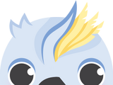 Cockatoo