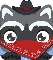 Raccoon Bandit with white background