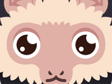 Capuchin