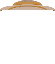 Hat54