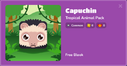 Capuchin Blook Menu