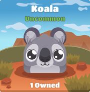 Koala blook in background