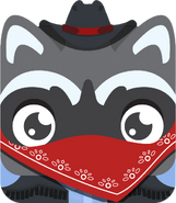 Raccoon Bandit