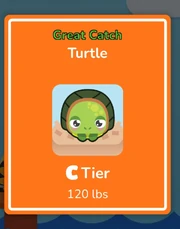 Turtle in Fishing Frenzy