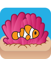 Clownfish