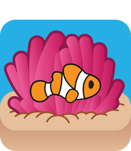 Clownfish