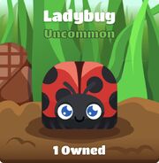 Ladybug Blook in background