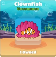 Clownfish with background