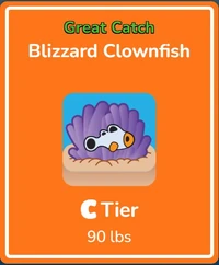 F Blizzard Clownfish