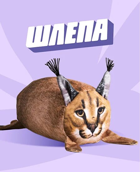 Шлёпа | Блоптоп.Вики | Fandom