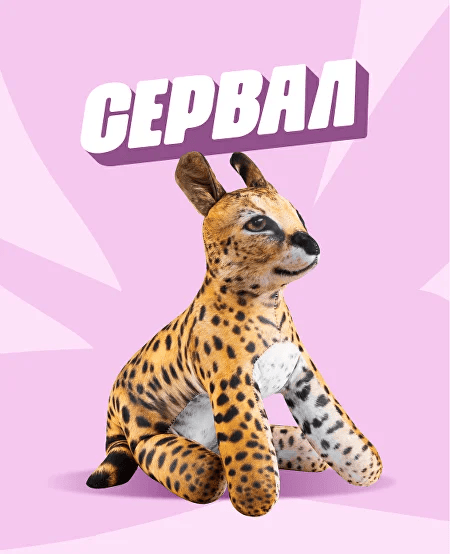 Рысь | Блоптоп.Вики | Fandom