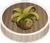 Weedtype.png