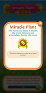 Miracle Plant flower bloom free first booster used