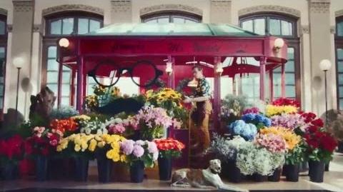 Blossom Blast Saga Flower Stand 30 US TV Commercial