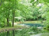 Pond