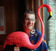 Don-featherstone-pink-flamingo
