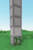 Farming of Vine