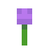 Allium in inventory noBlue