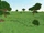 Meadow