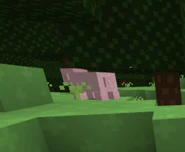 An image showing the appearance of pigs in survival lobby 5.
