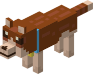 3 Wolf 2.png (54 KB) Brown Wolf (with light blue collar)