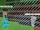 Survival Royale