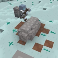 A “closed” coffin